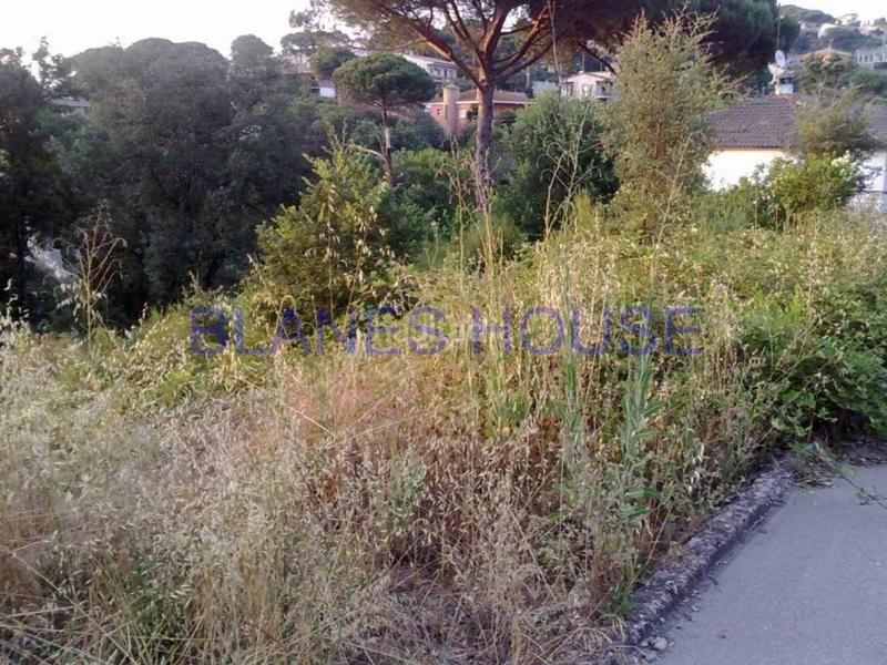 Foto f262fb6e-3b52-42c6-a991-465a7ee514af. Propriété dans Mas Altaba - El Molí Maçanet de la Selva