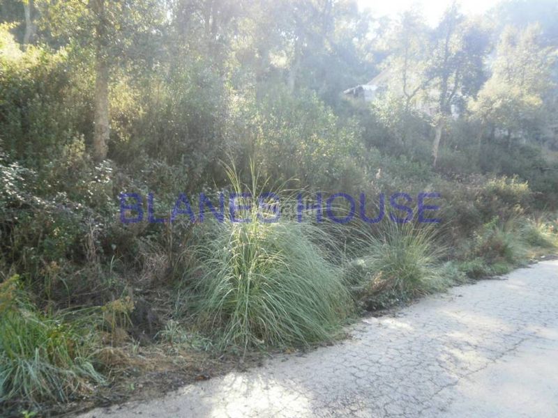Foto 0c0b7fa0-02ae-4e1e-8e77-09d308444f08. Terreny residencial a Montbarbat Maçanet de la Selva