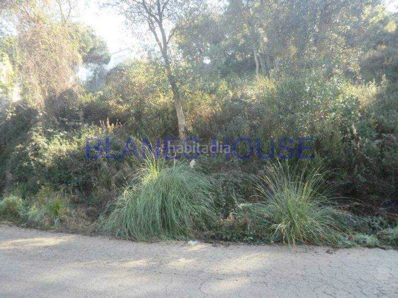 Foto 0dcf7bf8-d14d-4952-bce4-54261e598f5f. Terreny residencial a Montbarbat Maçanet de la Selva