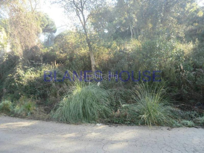 Foto 5ab2d1a6-7def-4674-b3a8-de158347f671. Finca rústica a Montbarbat Maçanet de la Selva