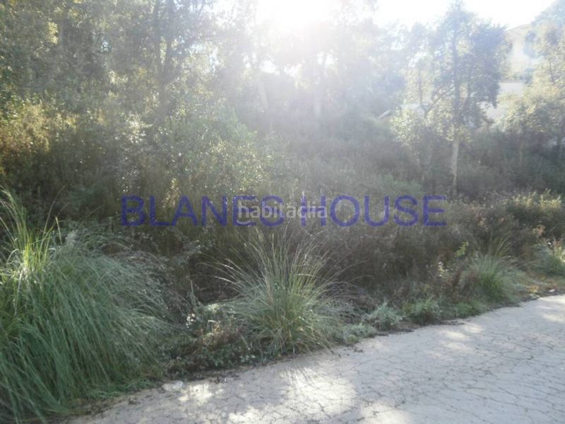 Foto 8d2e56ab-afea-4cb3-bc36-4c9d22fc9b8a. Terreny residencial a Montbarbat Maçanet de la Selva