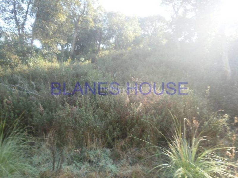 Foto a1c8c5d2-4e4a-4f44-9d0d-f5209702ecf4. Terreny residencial a Montbarbat Maçanet de la Selva
