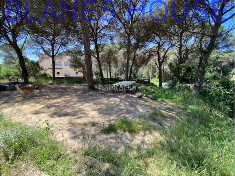 Foto 525e0b18-2510-4875-b3df-fd3e22958cd0. Terreny residencial a Lloret Verd - Els Pinars Lloret de Mar