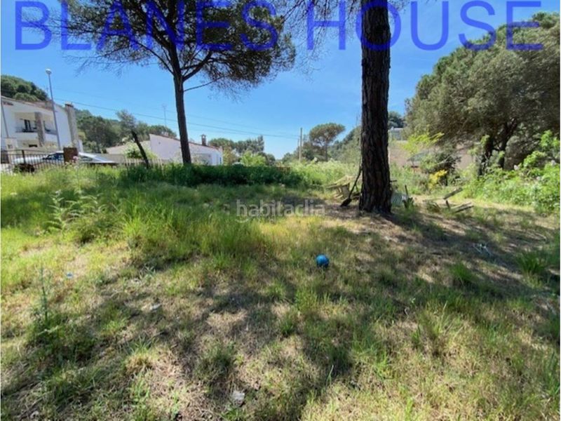 Foto 70e2d440-65ca-406c-aef1-8b253d178ab2. Terreny residencial a Lloret Verd - Els Pinars Lloret de Mar
