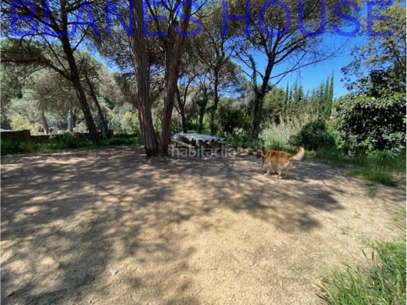 Foto 983940aa-b252-4fc6-97b4-0787d7d3923b. Terreny residencial a Lloret Verd - Els Pinars Lloret de Mar