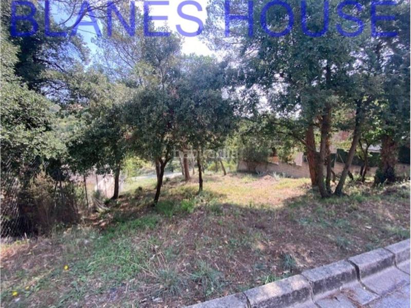 Foto 5aceda21-43f3-41c2-beb6-786523ce1637. Finca rústica terreno en venta en Residencial Park Maçanet de la Selva