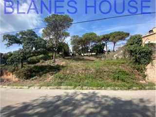 Terreny residencial a Calle Eucaliptos