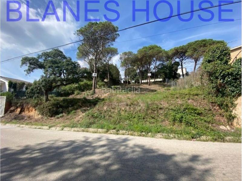 Foto cb48e9c9-e52c-4812-ab05-ca1db170f5dc. Finca rústica terreno en venta en Residencial Park Maçanet de la Selva