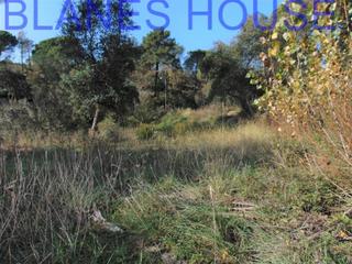 Finca rústica  Madaleta. Terreno en venta en maçanet de la selva