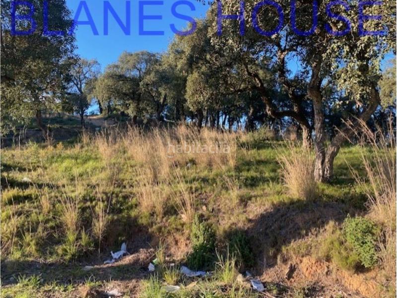 Foto 291669d5-d331-4219-aa86-599547f15838. Terreno residencial terreno en venta en urbanitzacions el mas mórasant danielblanes mar en Tordera