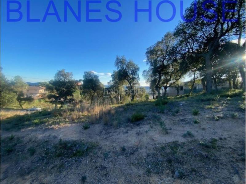 Foto 37aad9ce-a85a-4382-94a0-6b3d8fc8ff77. Terreno residencial terreno en venta en urbanitzacions el mas mórasant danielblanes mar en Tordera