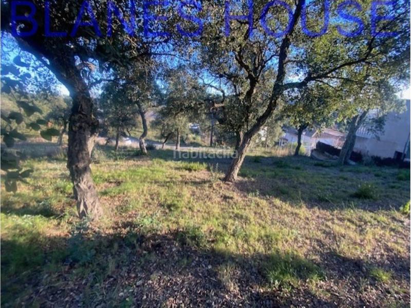 Foto 430a8505-4e34-4be3-9bac-69e811f3f4ee. Terreno residencial terreno en venta en urbanitzacions el mas mórasant danielblanes mar en Tordera
