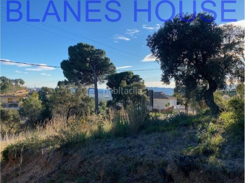 Foto f1f49415-48f7-435e-860e-30ec5cfec871. Terreno residencial terreno en venta en urbanitzacions el mas mórasant danielblanes mar en Tordera