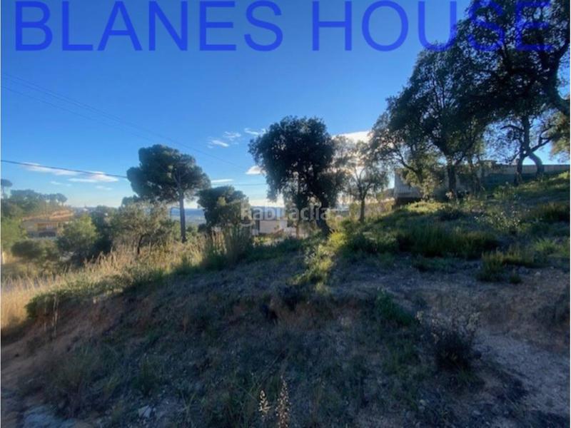 Foto f6963c86-0c2a-4737-a9b5-75227a2baef8. Terreno residencial terreno en venta en urbanitzacions el mas mórasant danielblanes mar en Tordera