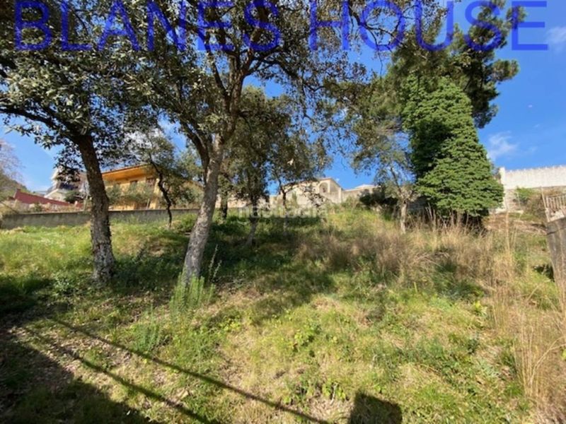 Foto 0e7987a7-3686-40e5-a72f-f27b1674c974. Finca rústica a Mas Mora-Sant Daniel Tordera