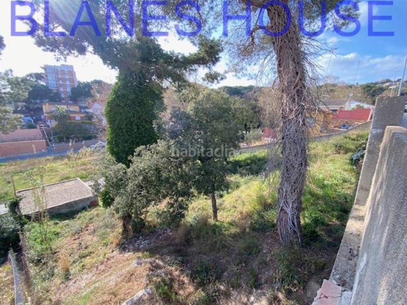 Foto 438ad7ab-389c-4486-a0e5-63cb509fc247. Fondo rustico in Mas Mora-Sant Daniel Tordera