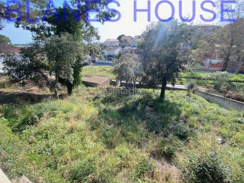 Foto 4a5f609d-cc5e-4e0d-86c2-0cb023b4cc63. Finca rústica a Mas Mora-Sant Daniel Tordera