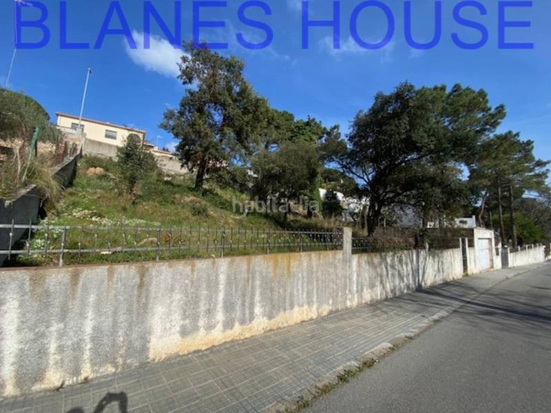 Foto a5dd5ae2-b824-4c3a-afb9-3d0b94a3dbd6. Fondo rustico in Mas Mora-Sant Daniel Tordera