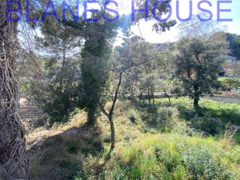 Foto aa1fd8d4-4eb1-4ea7-ba6d-9e88a26cb116. Finca rústica a Mas Mora-Sant Daniel Tordera