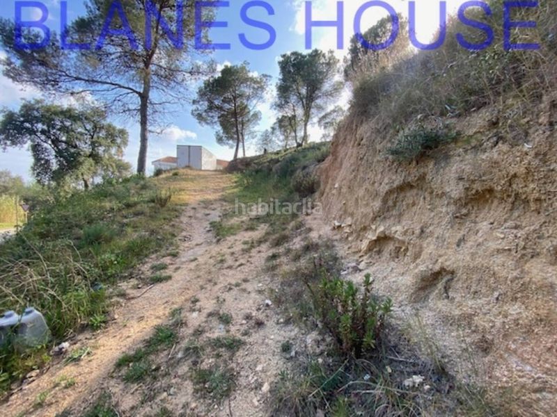 Foto 0a5e4ea2-ce1b-41b8-8fe5-f1ea88f82370. Finca rústica a Mas Mora-Sant Daniel Tordera