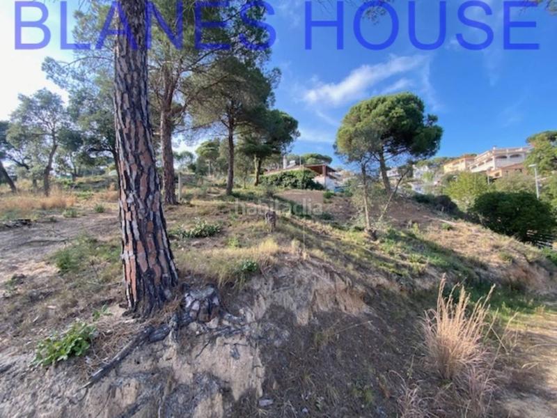 Foto 31f543d6-0078-413e-9044-b291c05f4e1a. Fondo rustico in Mas Mora-Sant Daniel Tordera