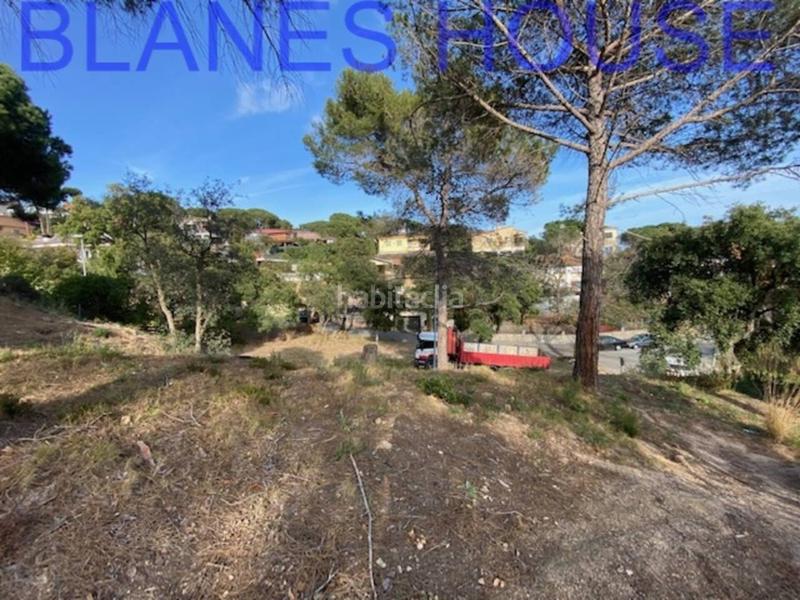 Foto 639861c9-fa16-498b-9984-1d4ec69ac4d1. Fondo rustico in Mas Mora-Sant Daniel Tordera