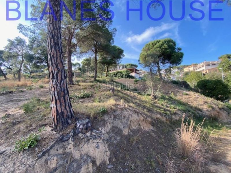 Foto b53d3a14-4232-4a36-bc90-5df76b0cce76. Finca rústica a Mas Mora-Sant Daniel Tordera
