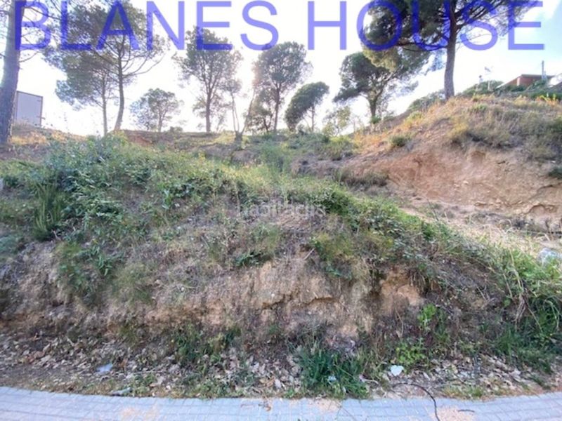 Foto c8dcbfd8-fbdf-45aa-9a78-a486d0e16c83. Finca rústica a Mas Mora-Sant Daniel Tordera