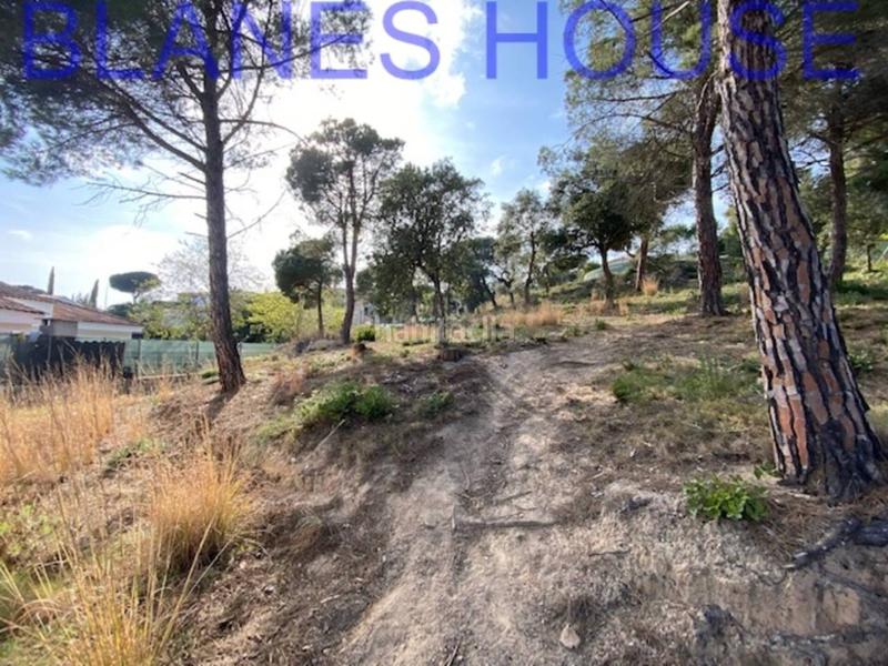 Foto e9463316-fd29-459d-b775-a35e0d80eaf6. Fondo rustico in Mas Mora-Sant Daniel Tordera