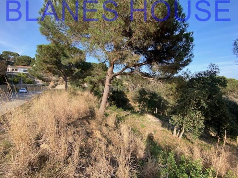 Foto 133940de-6810-4a6e-a177-a558e14853cd. Finca rústica a Mas Mora-Sant Daniel Tordera