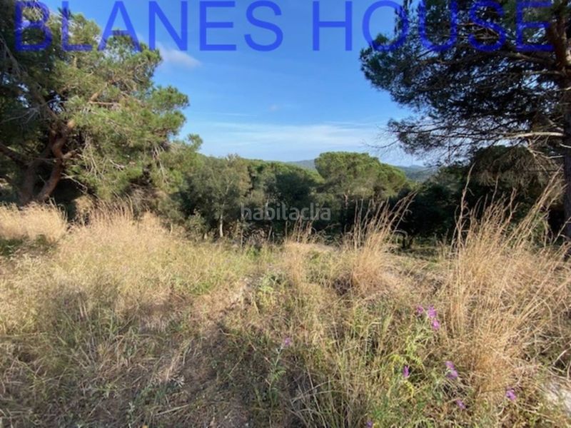 Foto 3b873387-8bd2-4b01-91ad-11d28500adb5. Finca rústica a Mas Mora-Sant Daniel Tordera
