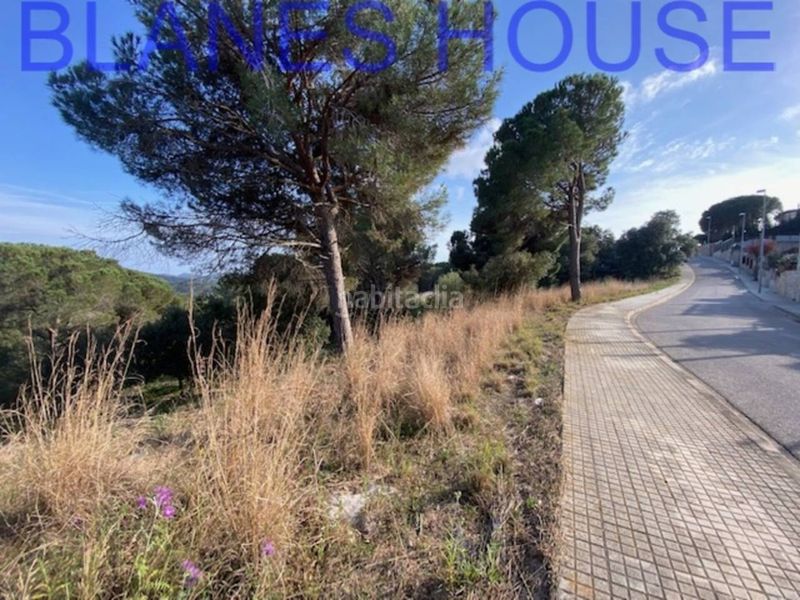 Foto e2f91293-ba75-4a2f-a27e-34f28d85b280. Finca rústica a Mas Mora-Sant Daniel Tordera