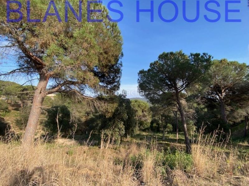 Foto fad1b291-debb-4e79-ba06-bb03d4bb7533. Finca rústica a Mas Mora-Sant Daniel Tordera