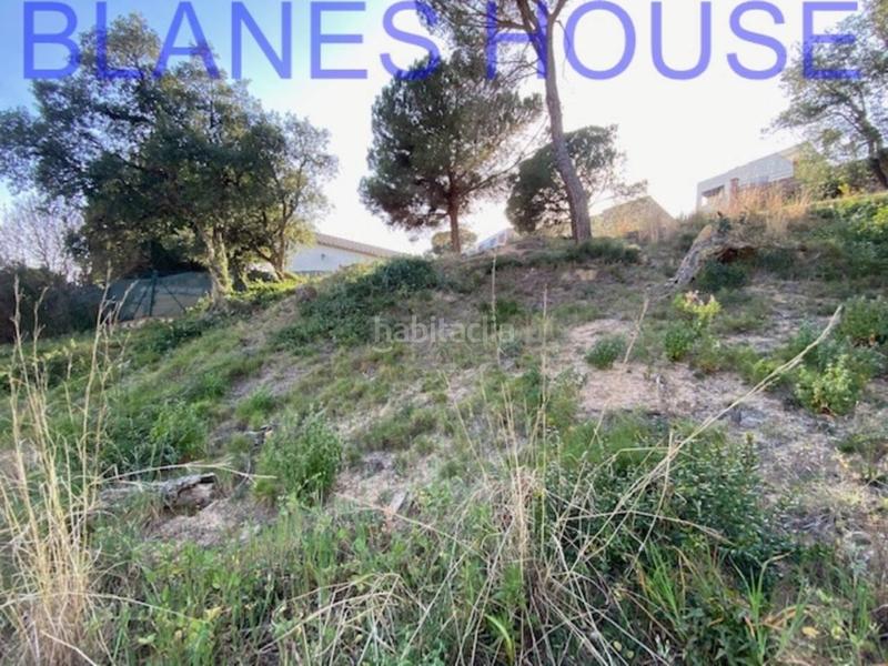 Foto 7f6356eb-1768-484a-9cb0-cdd45610d9d9. Finca rústica terreno en venta en urbanitzacions el mas mórasant danielblanes mar en Tordera