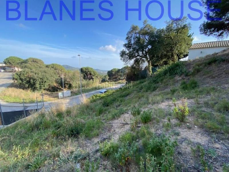Foto a451e418-15d4-4f16-bd32-125c4f6d00e8. Finca rústica terreno en venta en urbanitzacions el mas mórasant danielblanes mar en Tordera