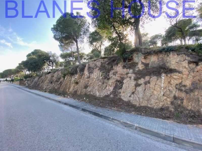 Foto 499484b5-70c7-4b9e-a800-a121c71a4294. Finca rústica a Mas Mora-Sant Daniel Tordera