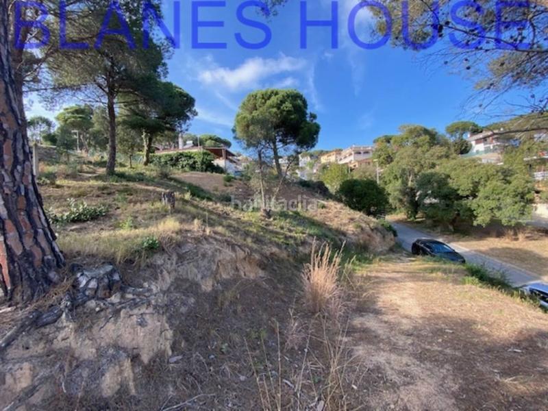 Foto 31eb88f8-ece2-4a99-a70b-3e074b42837b. Finca rústica terreno en venta en urbanitzacions el mas mórasant danielblanes mar en Tordera
