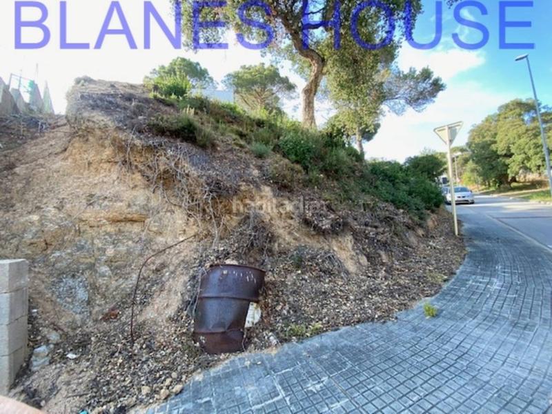 Foto 70a45aeb-6351-4afc-8dae-96aec2b5d8d8. Finca rústica terreno en venta en urbanitzacions el mas mórasant danielblanes mar en Tordera