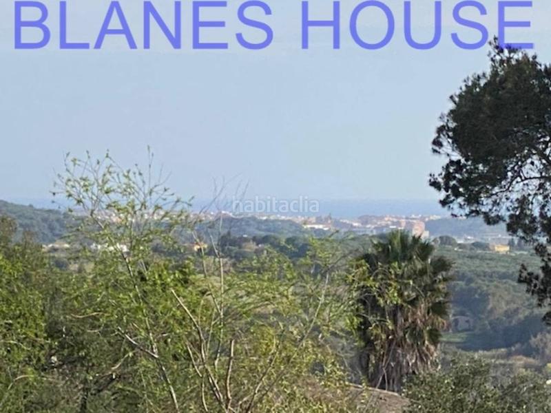 Foto da7a9e41-ad14-46b3-9ba1-2e4ecfe46252. Finca rústica terreno en venta en urbanitzacions el mas mórasant danielblanes mar en Tordera