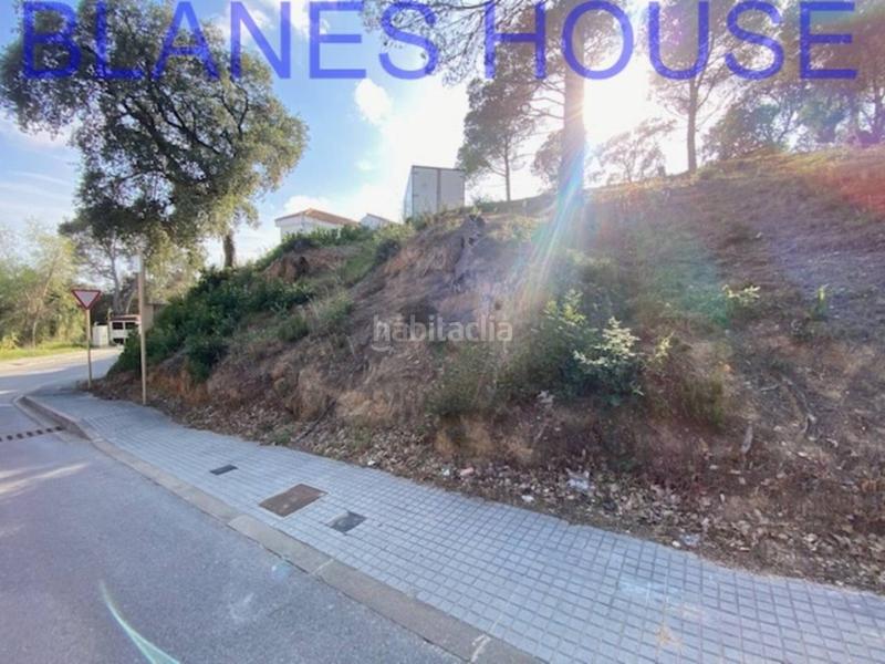 Foto f2cee5a4-66bc-427d-8e6e-677c2a488aac. Finca rústica terreno en venta en urbanitzacions el mas mórasant danielblanes mar en Tordera