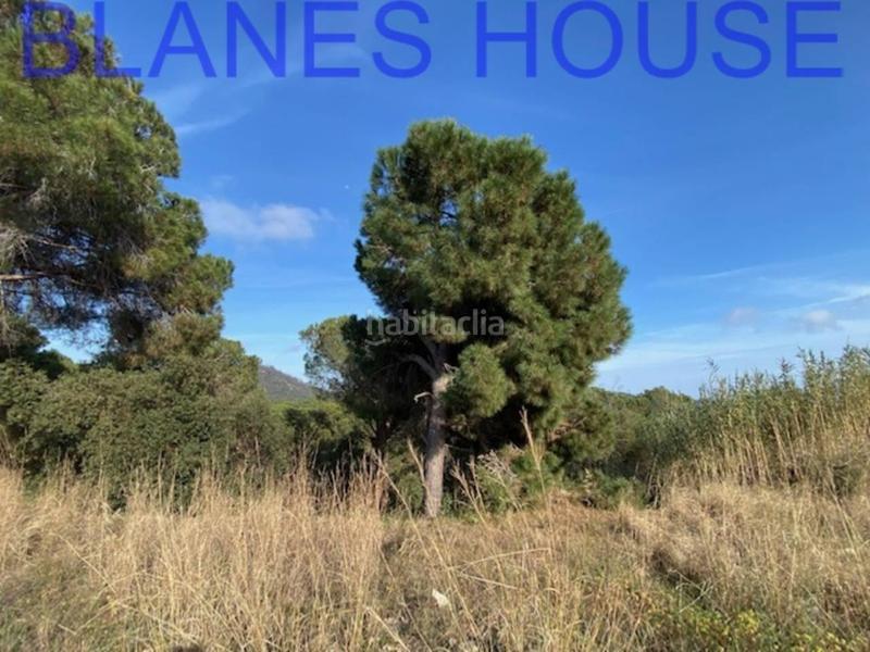 Foto 1c127d54-b75c-44da-b5b3-64c35b77e951. Finca rústica terreno en venta en urbanitzacions el mas mórasant danielblanes mar en Tordera
