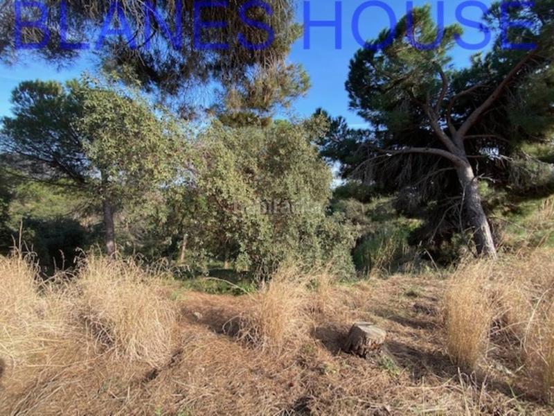 Foto 30a79484-0b6b-457d-8afc-fea61b05ff8f. Finca rústica terreno en venta en urbanitzacions el mas mórasant danielblanes mar en Tordera