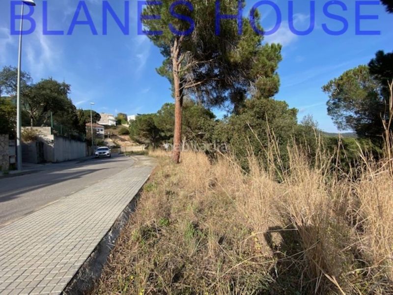 Foto 47b8e58c-eb0a-4e63-9330-f056b42d96e6. Finca rústica a Mas Mora-Sant Daniel Tordera