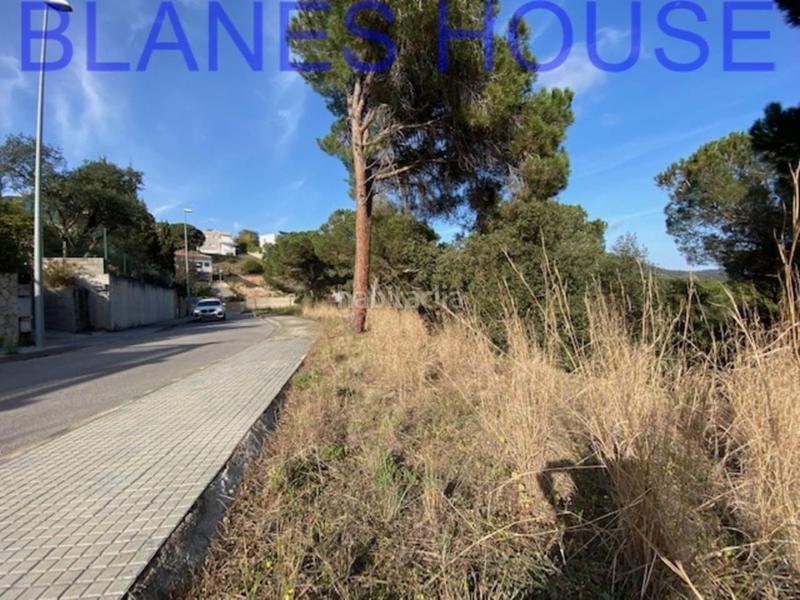 Foto 6d1ac4f4-3d7e-44aa-a902-33fe817895ff. Finca rústica terreno en venta en urbanitzacions el mas mórasant danielblanes mar en Tordera