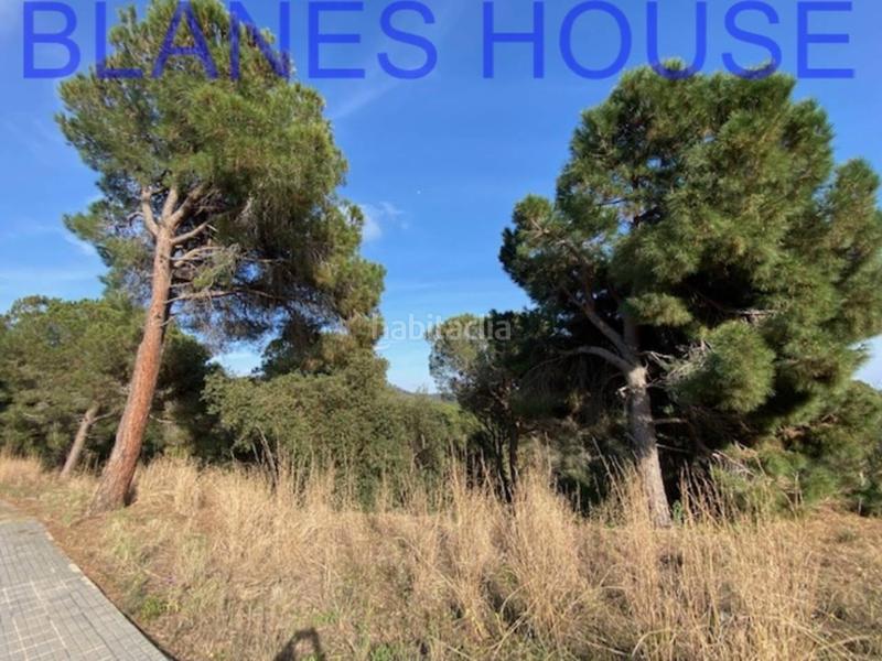 Foto 9706b4c4-3e28-4f8f-805a-469db29b0d3d. Finca rústica terreno en venta en urbanitzacions el mas mórasant danielblanes mar en Tordera