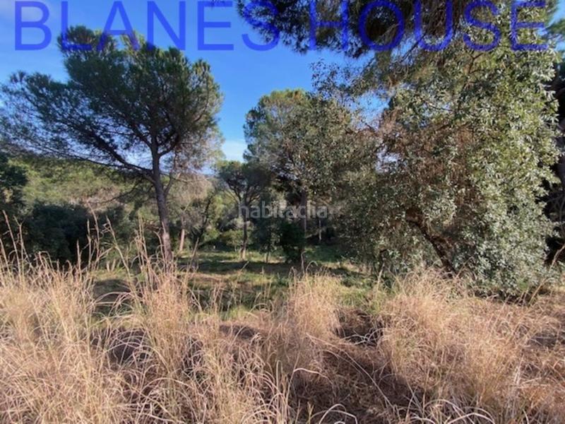 Foto d5958ba7-b5aa-4532-9188-bb39511970ed. Finca rústica terreno en venta en urbanitzacions el mas mórasant danielblanes mar en Tordera