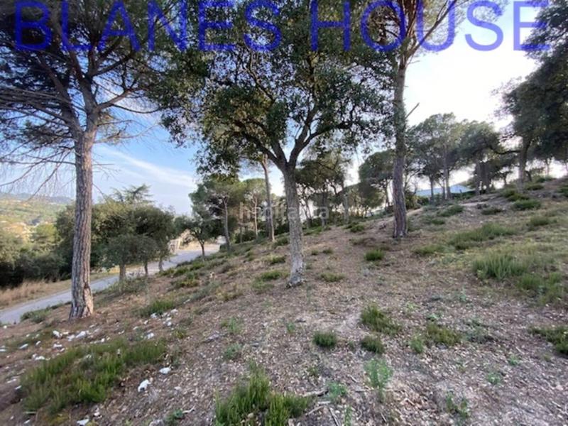 Foto 5f1867f2-f59e-4533-8ded-7173b54670c9. Finca rústica terreno en venta en urbanitzacions el mas mórasant danielblanes mar en Tordera