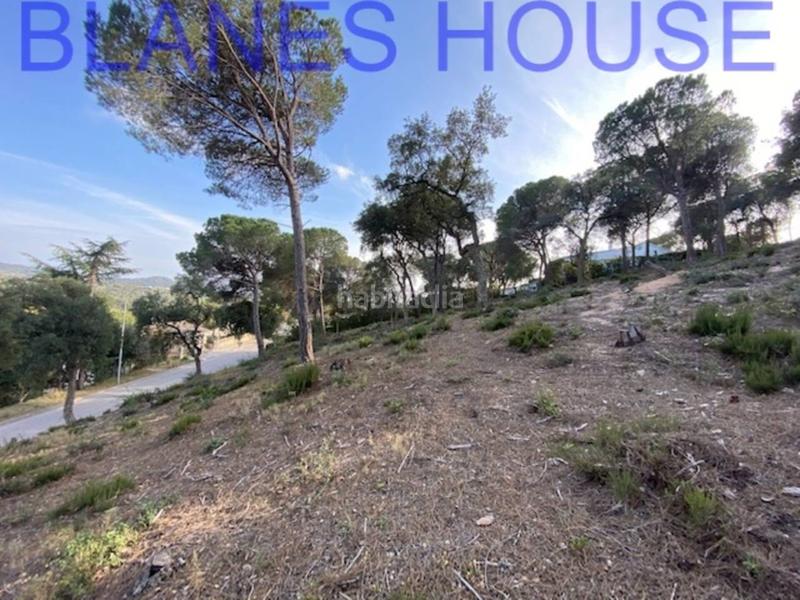 Foto a8c989aa-b93a-4afb-9f39-bd3ff5ea29ea. Finca rústica terreno en venta en urbanitzacions el mas mórasant danielblanes mar en Tordera