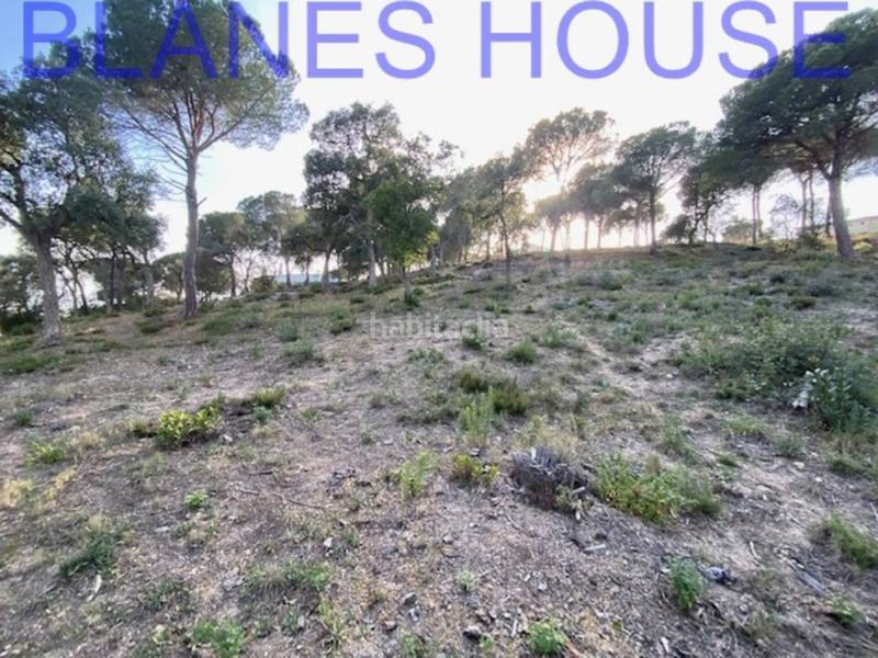 Foto c80e1fa7-8731-4c87-a3e3-7be5c5ae4f8d. Finca rústica terreno en venta en urbanitzacions el mas mórasant danielblanes mar en Tordera