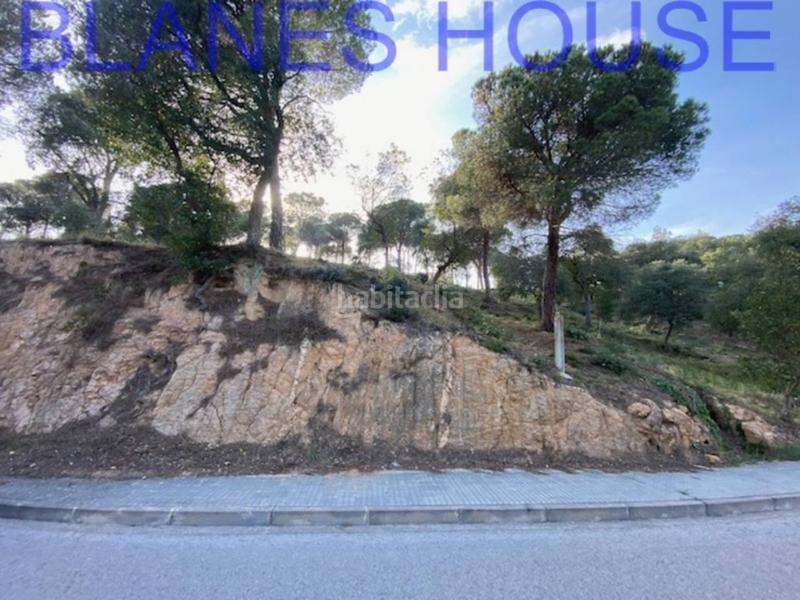 Foto cd02ba2d-1054-4763-aefd-f81bdd8e1ece. Finca rústica terreno en venta en urbanitzacions el mas mórasant danielblanes mar en Tordera